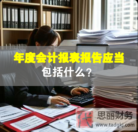 年度會計報表報告應當包括什么？