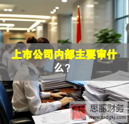 上市公司內部主要審什么？