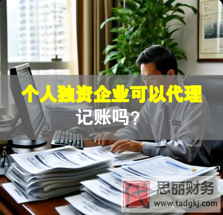 個人獨資企業可以代理記賬嗎？