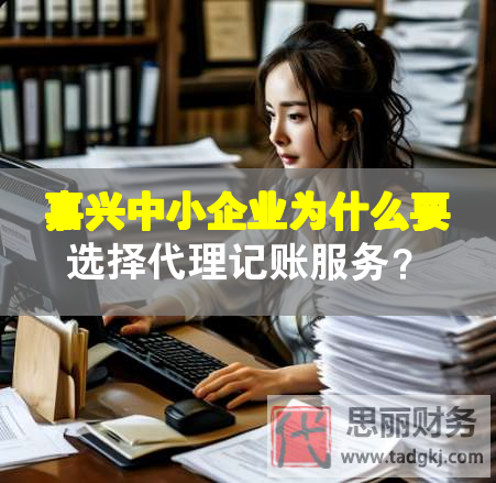 嘉興中小企業為什么要選擇代理記賬服務？