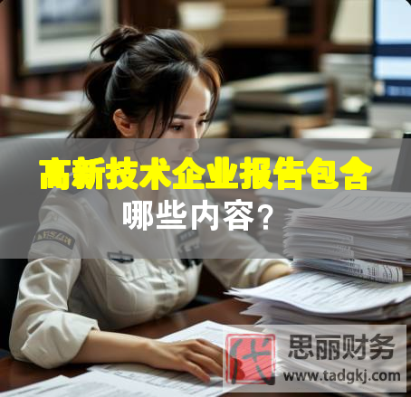 高新技術(shù)企業(yè)報(bào)告包含哪些內(nèi)容？